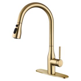 Pull Down Single Handle Kitchen Faucet with Deck Plate (Color: Brushed Gold)