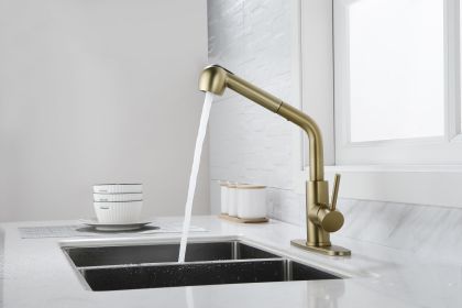 Kitchen Faucets with Pull Down Sprayer, Single Handle Kitchen Sink Faucet with Pull Out Sprayer (Color: Gold)
